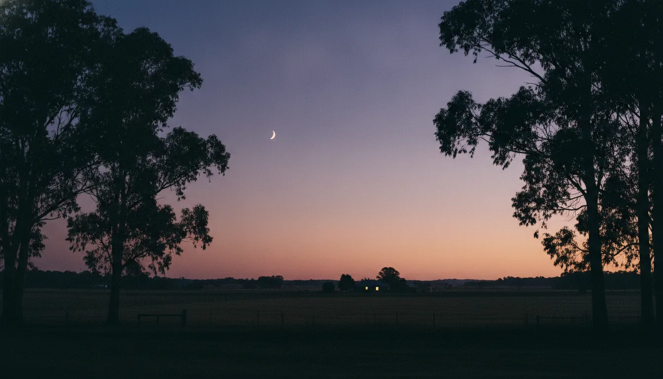 What Are You Seeking? How Healing Can Guide You Home