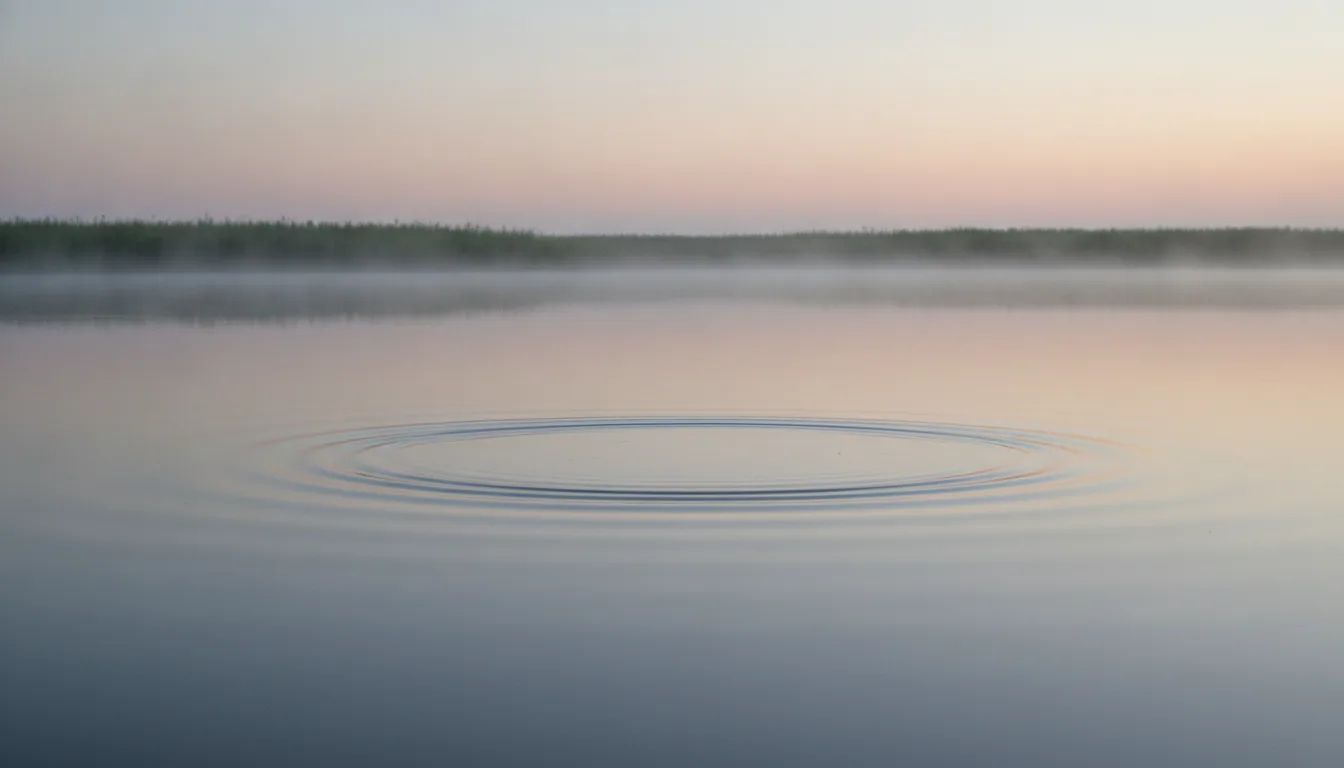 What Is Somatic Healing and How Does It Work?